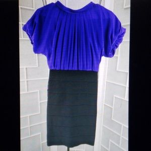 Sz XXS BCBGMAXAZRIA Persian Purple/Black  Dress